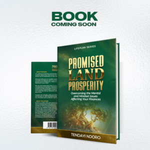 Promised Land Prosperity-Preorder now- Out on 3rd November 2023