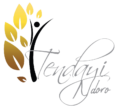 Tendayi Ndoro Resources